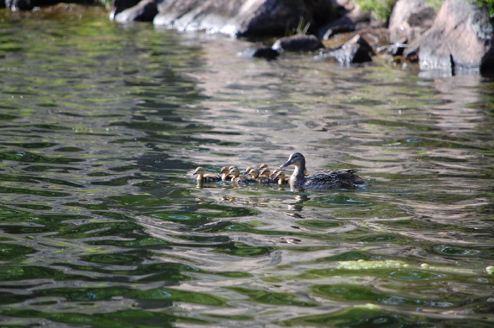 SUMMER2010- (105)